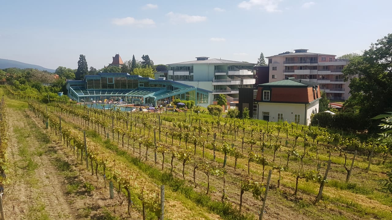 Außenansicht Vivea Hotel Bad Vöslau