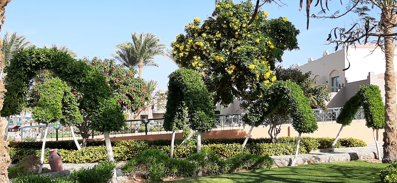 Gartenanlage Sentido Akassia Beach