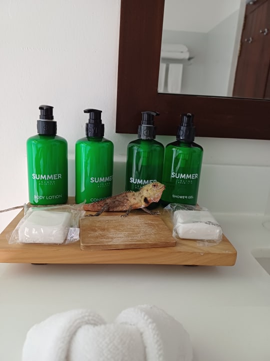 Zimmer Summer Island Maldives