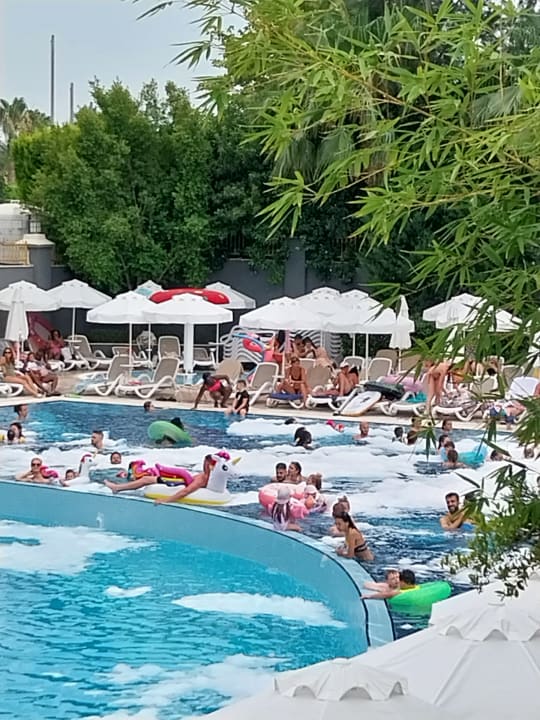 Pool Well Palace Side