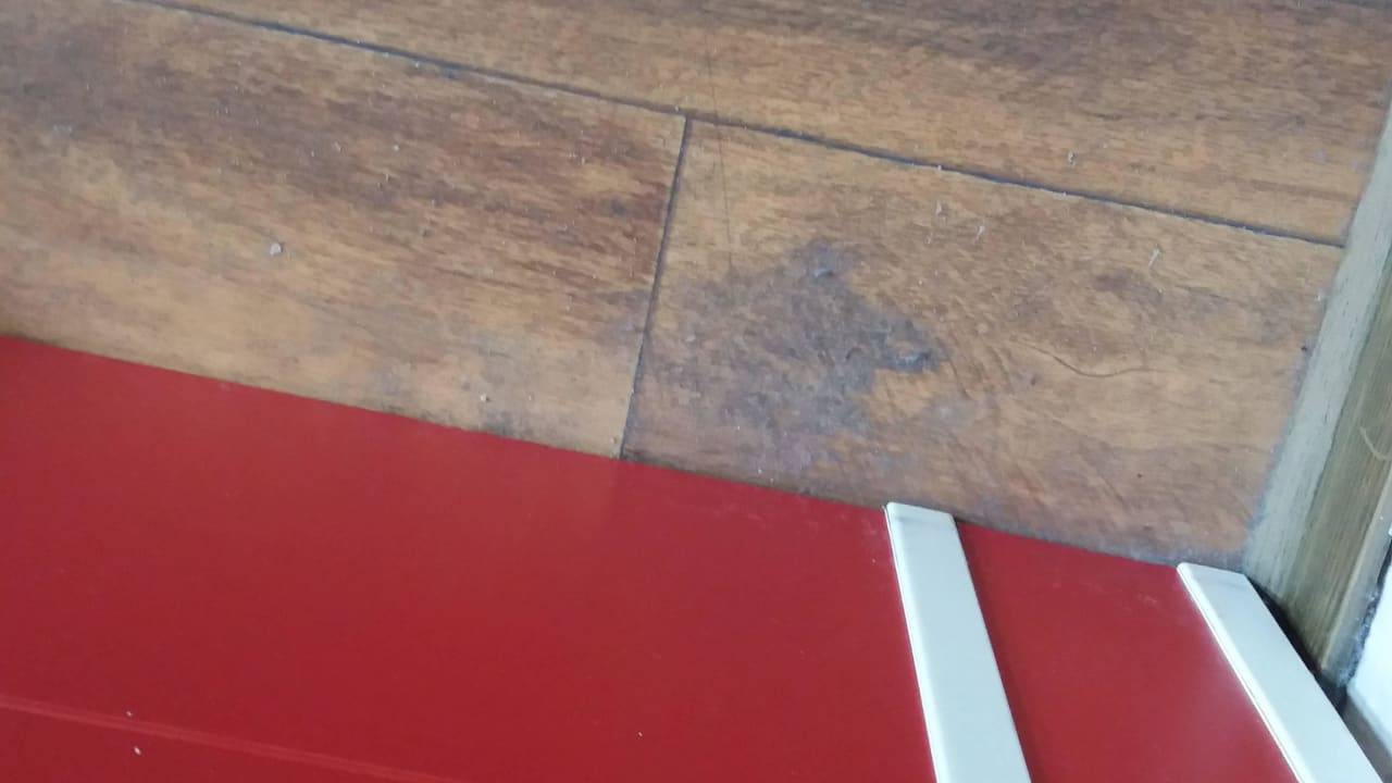 Fussboden überall klebte es Younior-Hotel Stralsund