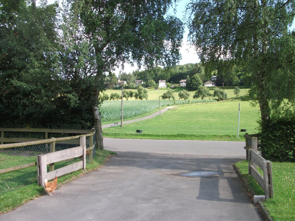 Gartenanlage Wiesenberghof