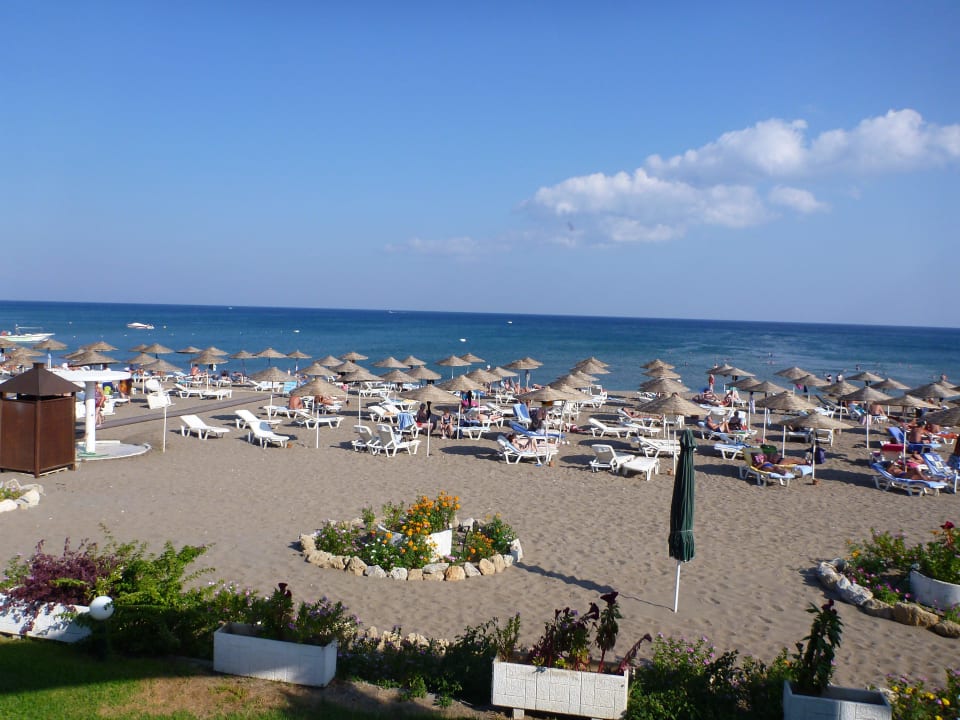 Blick von Poolbarterrasse Hotel Calypso Beach