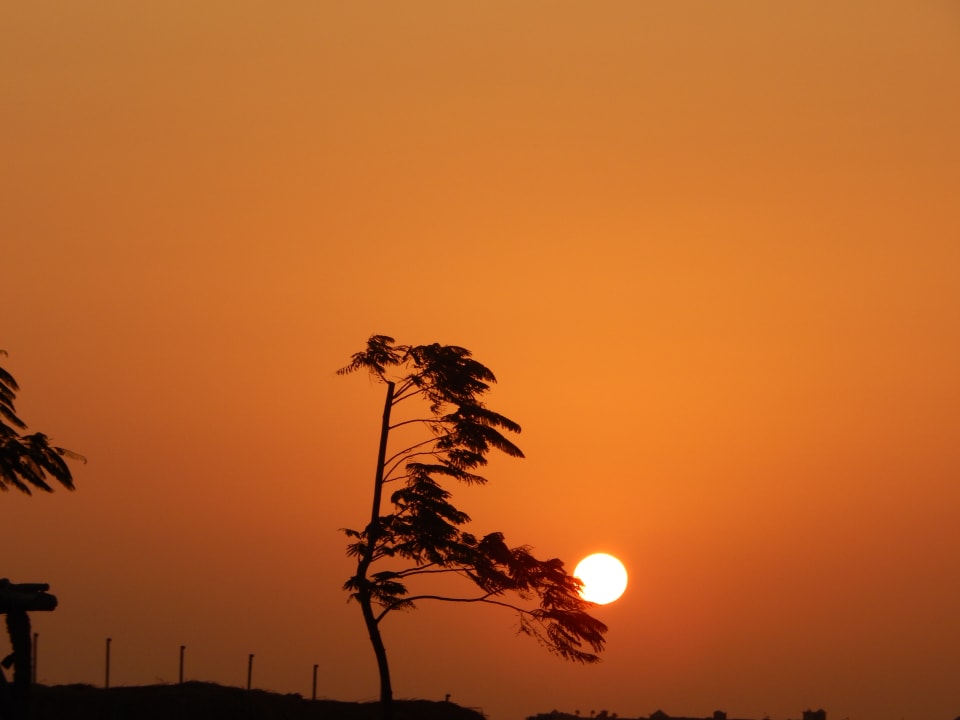 Ausblick Steigenberger Resort Ras Soma
