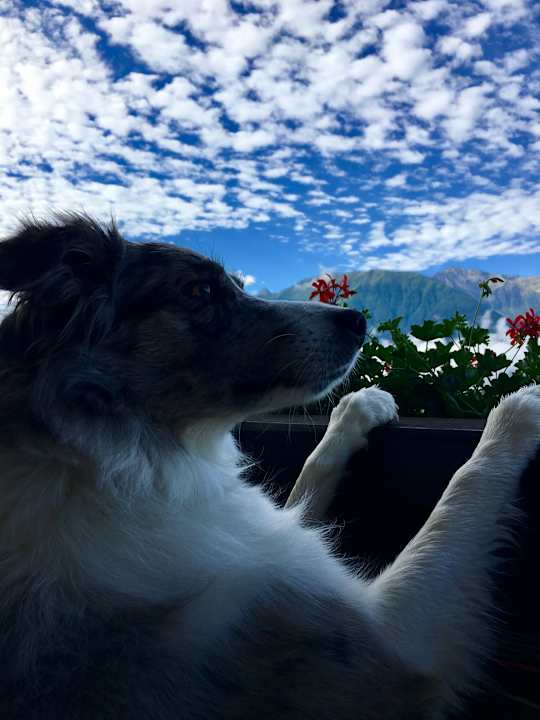 Sonstiges Hotel Habhof Garni