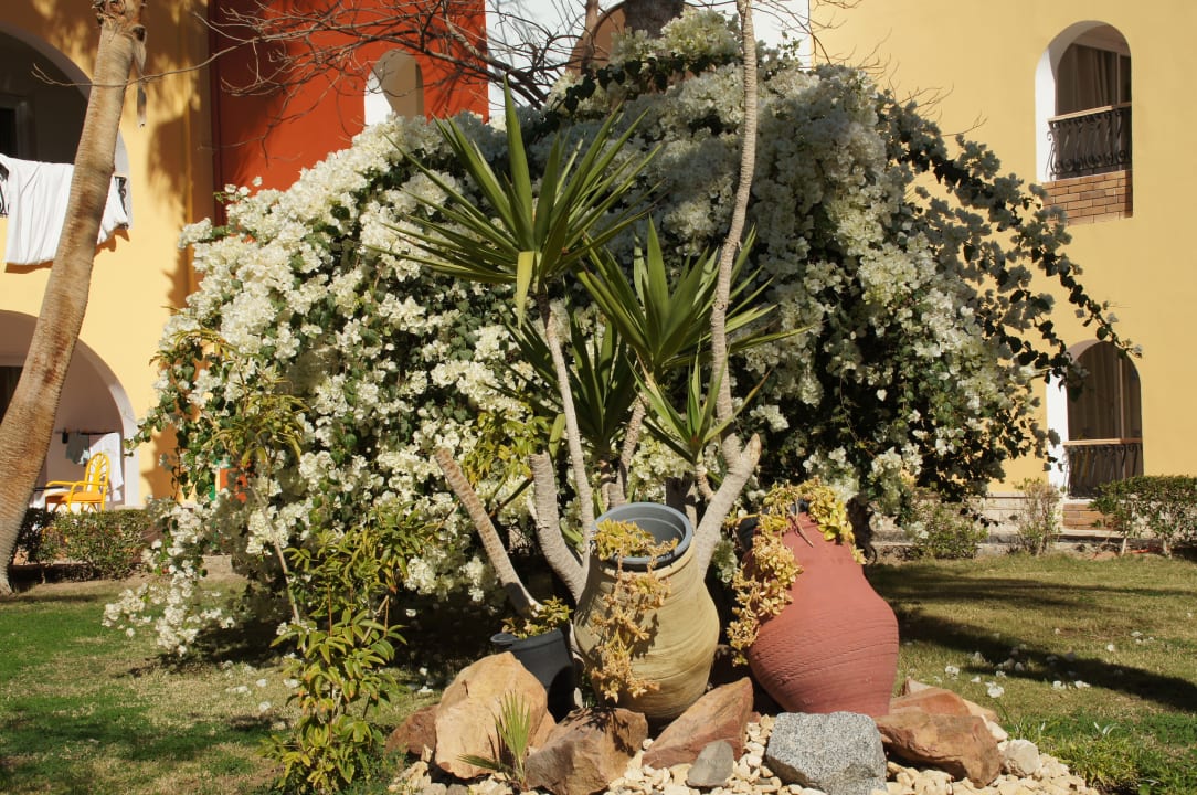 Gartenanlage Bel Air Azur Resort - Adults only