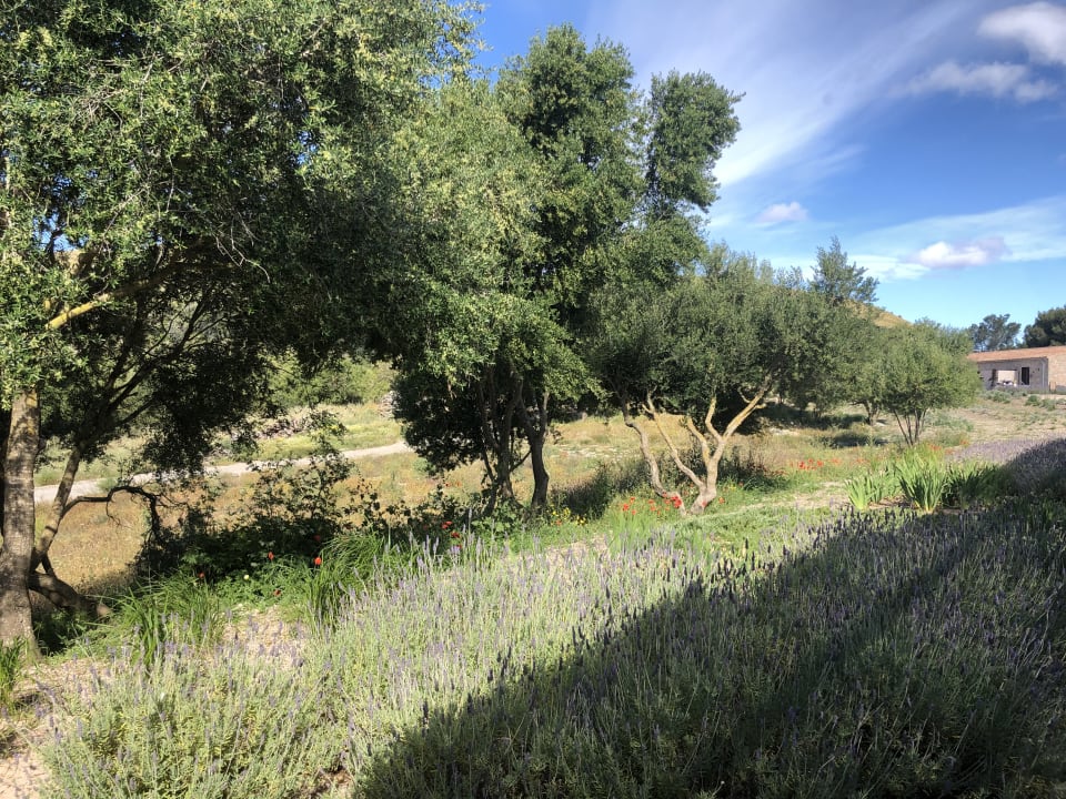 Ausblick Villa 3 - Carrossa Hotel Spa Villas