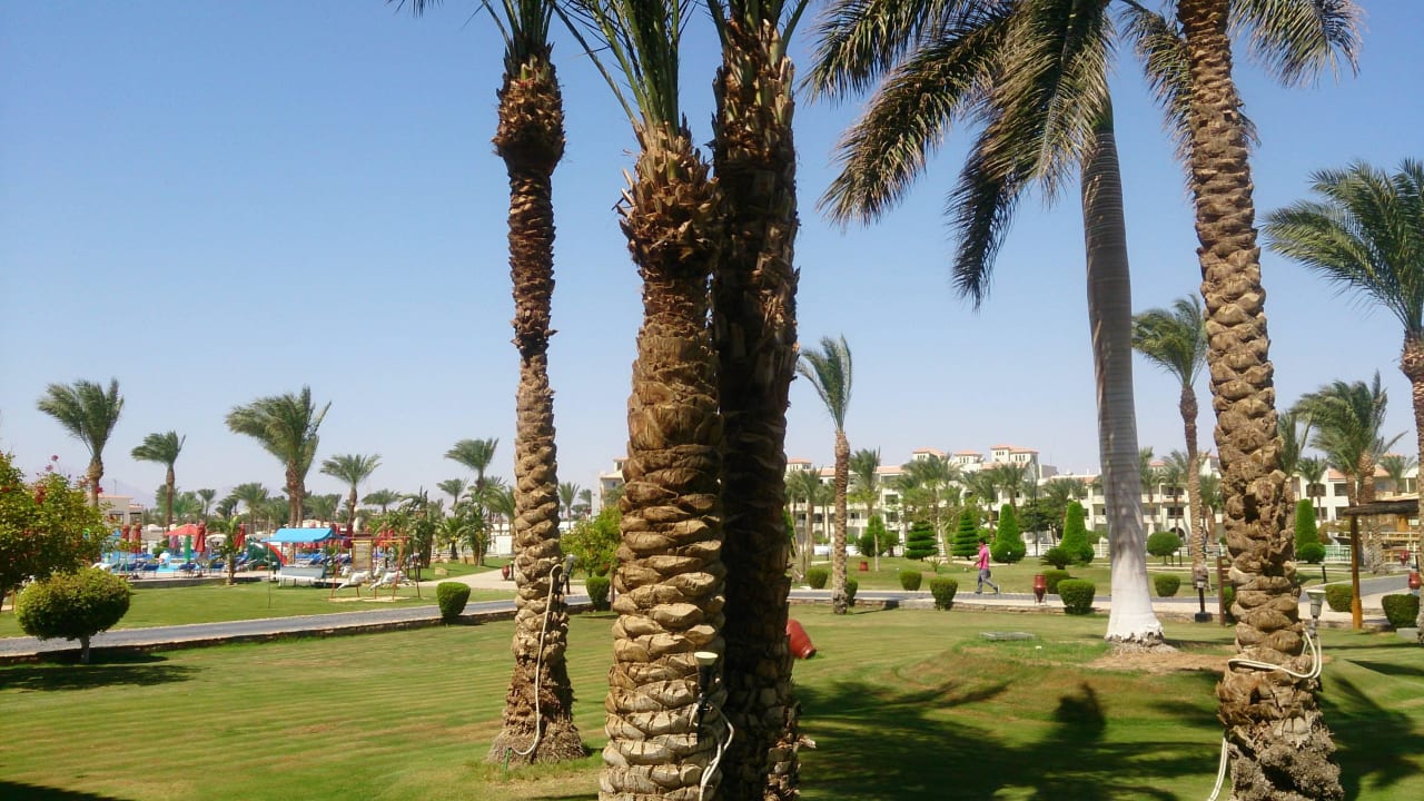 Gartenanlage Pickalbatros Dana Beach Resort - Hurghada