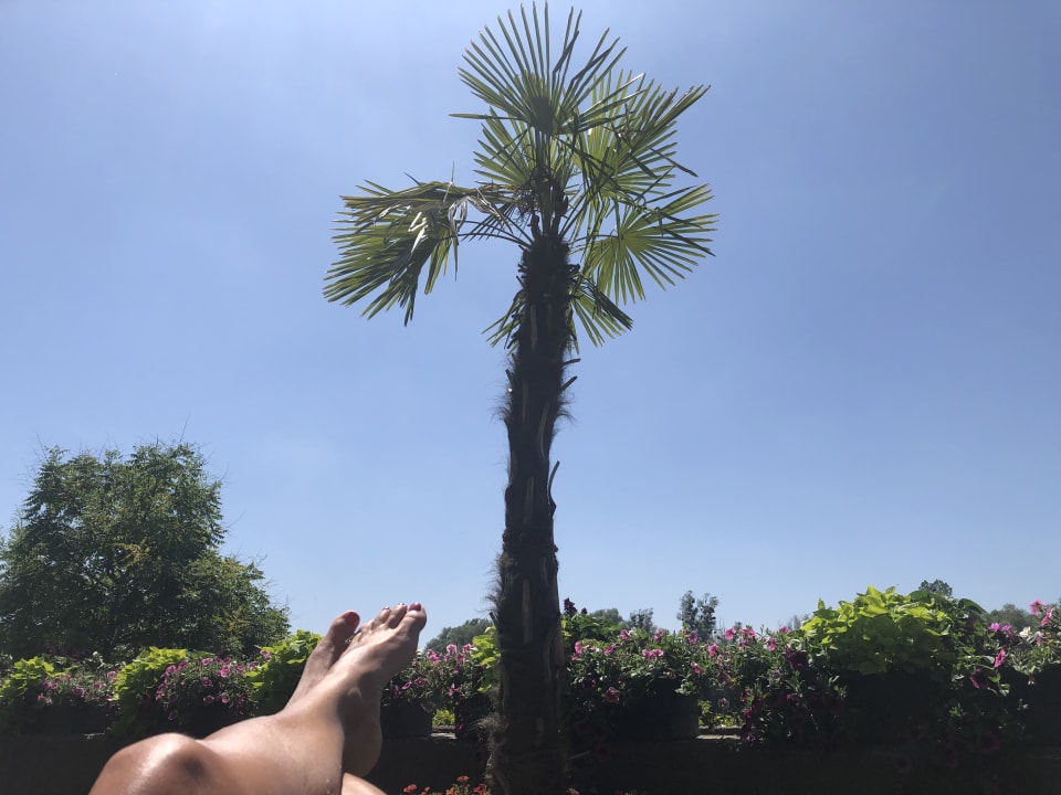 Gartenanlage Hotel Gugerbauer