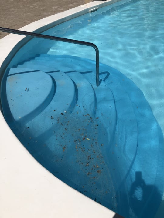 Pool Meliá Punta Cana Beach Resort - A Wellness Inclusive For Adults Only