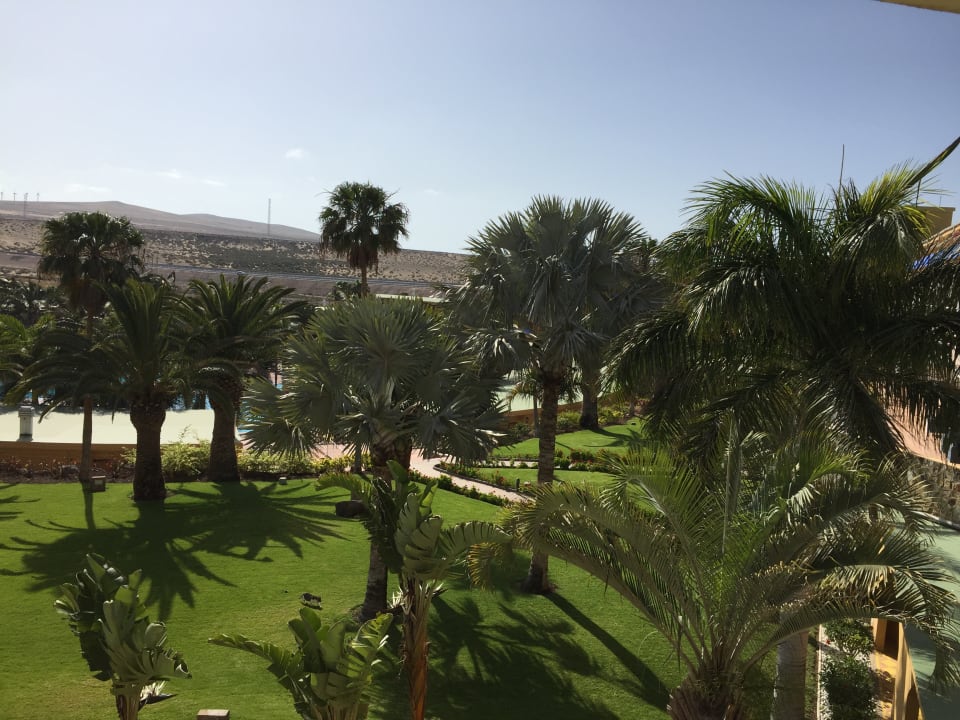 Gartenanlage Club Hotel Drago Park