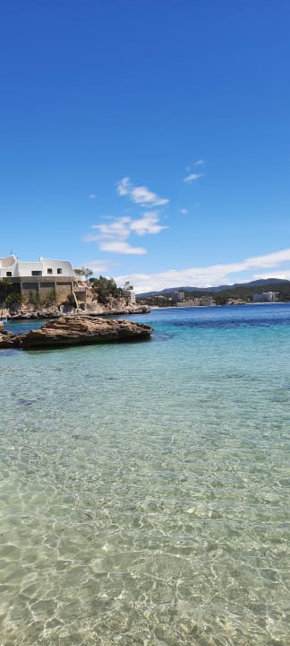 Strand allsun Hotel Bella Paguera