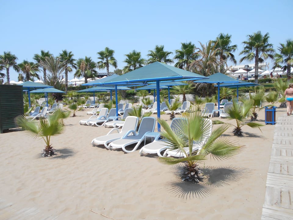 Strand Paloma Oceana