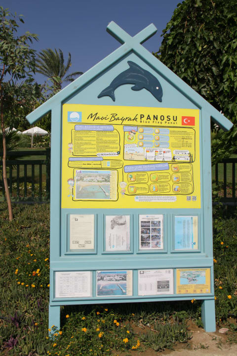 Blau Flagge  PALOMA Perissia