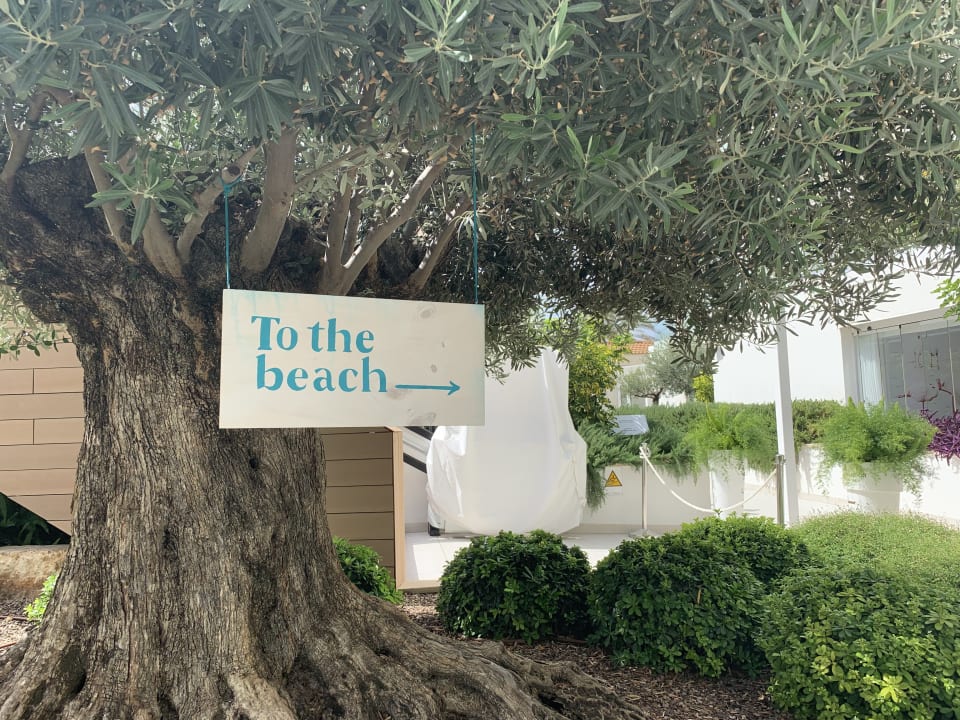 Gartenanlage Iberostar Selection Playa de Palma