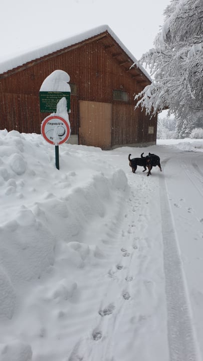 Sport & Freizeit Hotel Gsteig