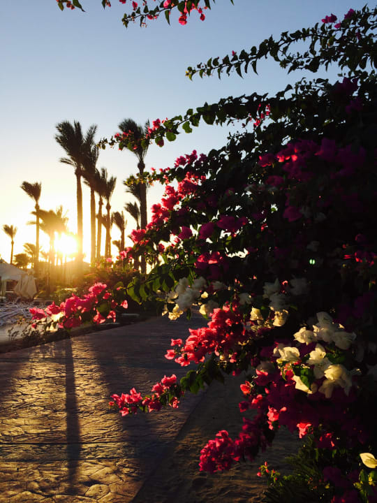 Sonstiges Cleopatra Luxury Resort Makadi Bay