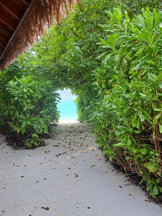 Gartenanlage Reethi Faru Resort