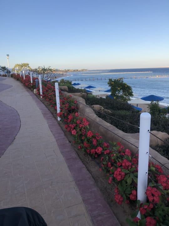 Strand Pickalbatros Palace Resort