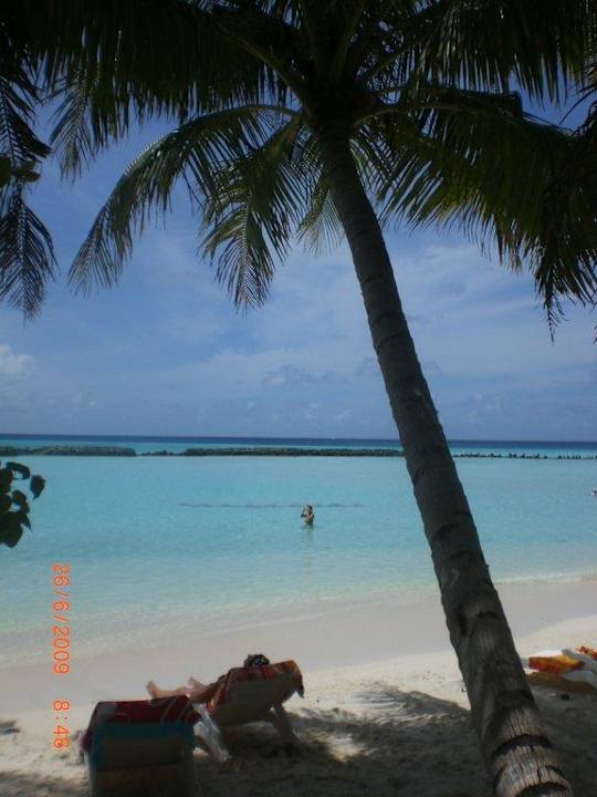 Sowas hat man nicht jeden Tag. Summer Island Maldives