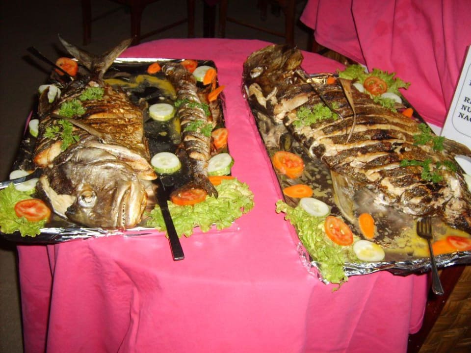 Nachtfischen Summer Island Maldives