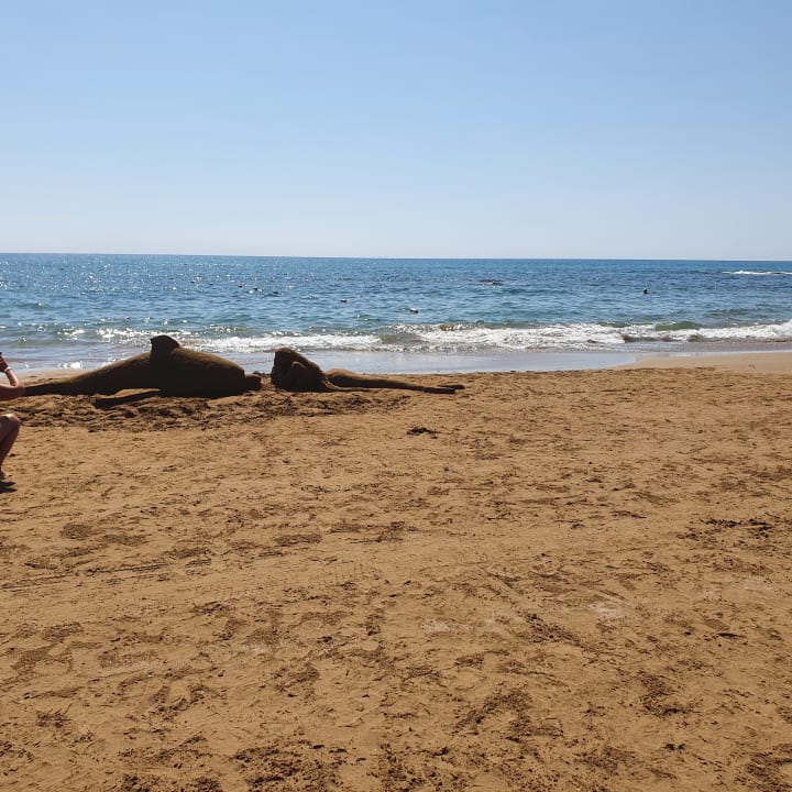 Strand Hotel Süral Resort