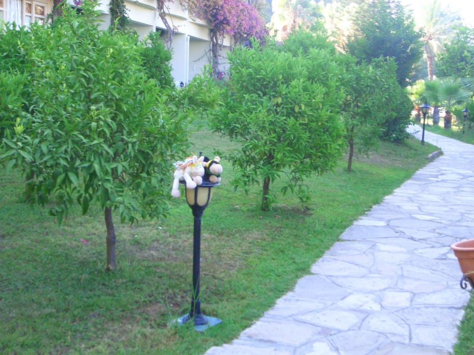 Der Garten  Bieno Club Venüs Hotel &Spa