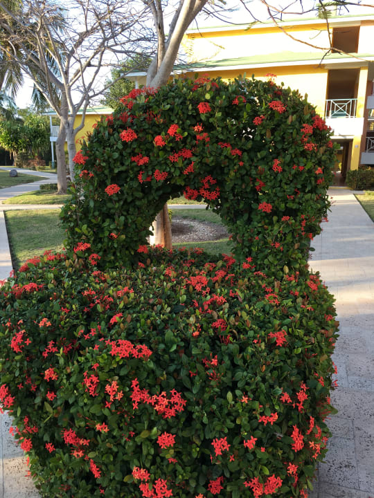 Gartenanlage Melia Las Antillas - Adults only