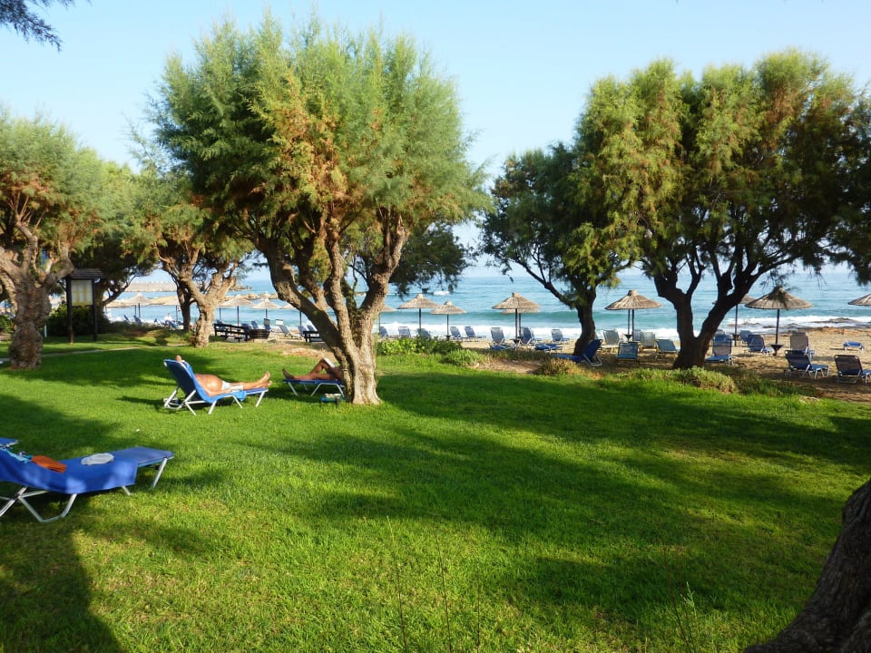 Liegewiese am Strand Phãea Cretan Malia