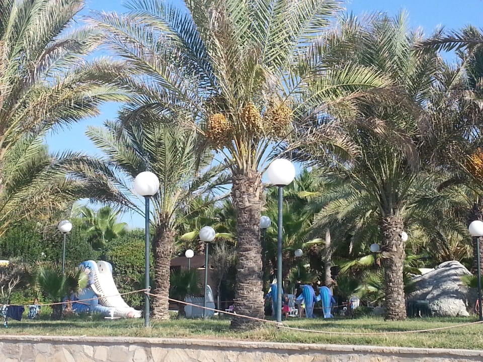 Blick v. Strand zum Kinderpool Hotel Yetkin