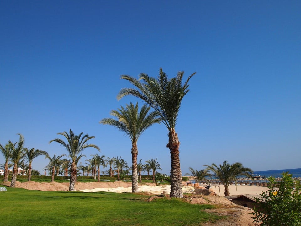 . Fantazia Resort Marsa Alam