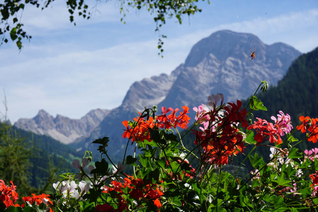 Ausblick Hotel Chalet La Palsa