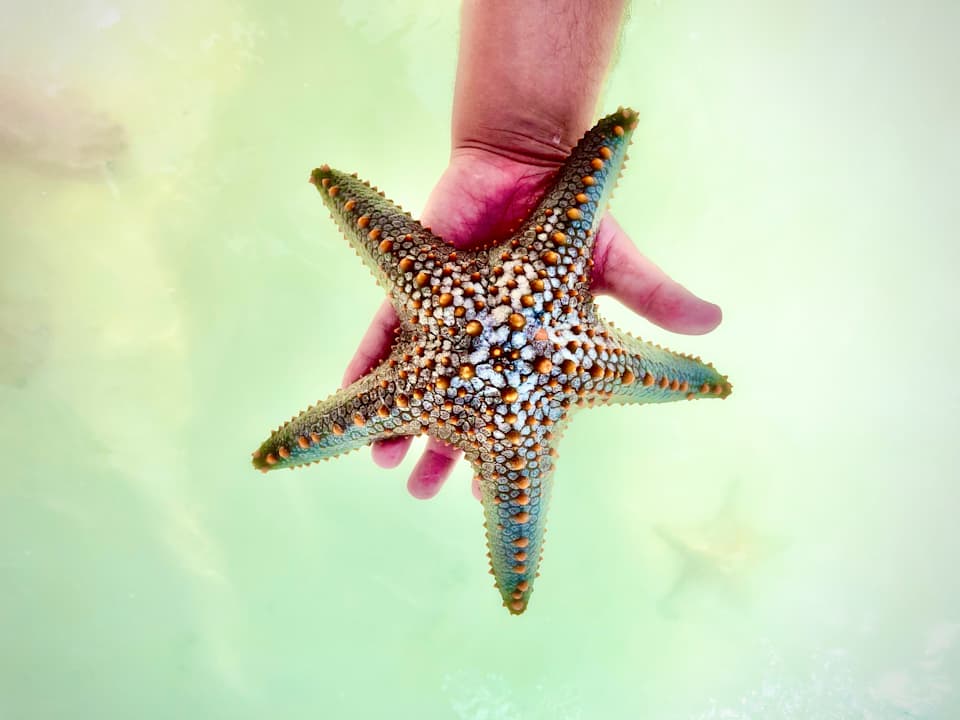 Strand Hotel Riu Palace Zanzibar