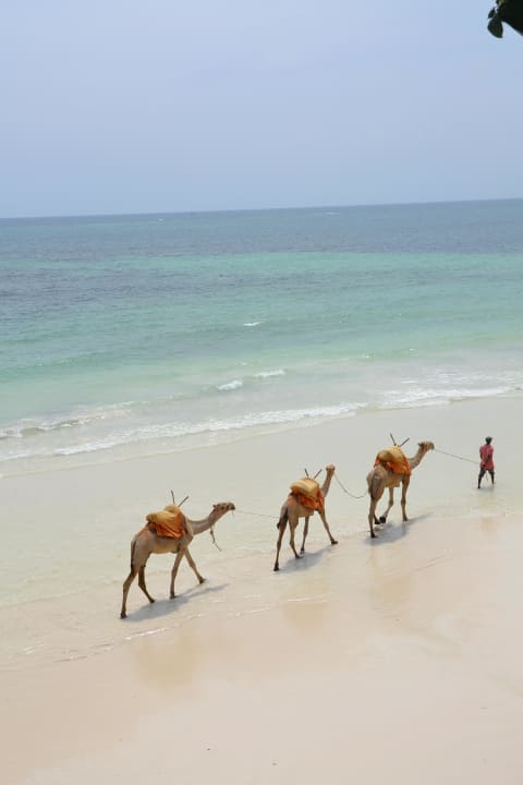 Na plazy Baobab Beach Resort & Spa