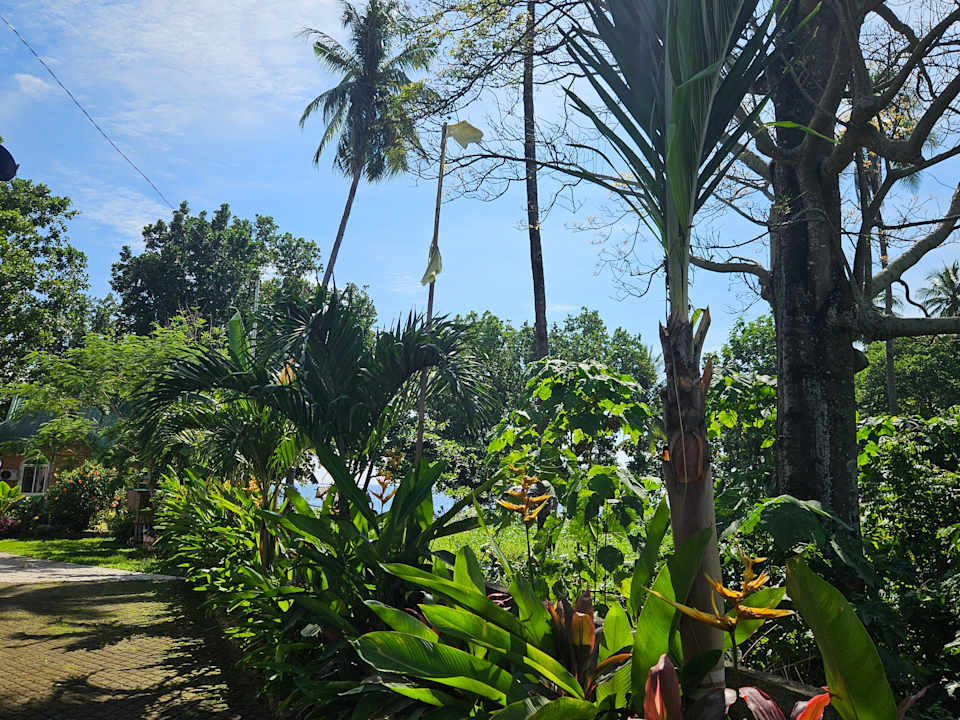Gartenanlage Seaside traveler's Inn by Camiguin Island Home