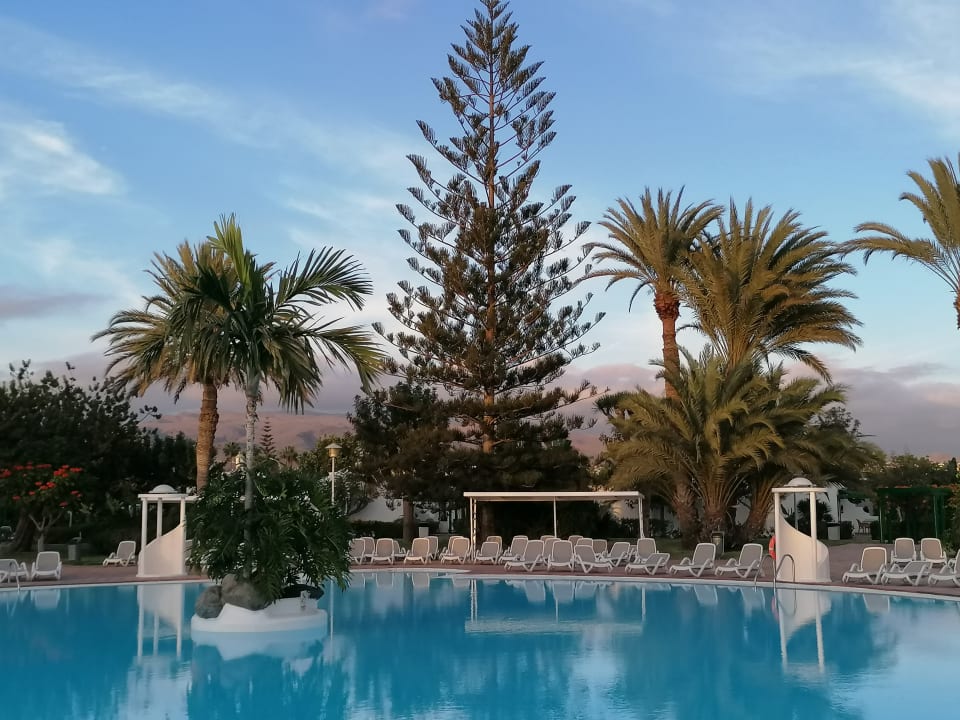 Pool Bungalows Cordial Sandy Golf