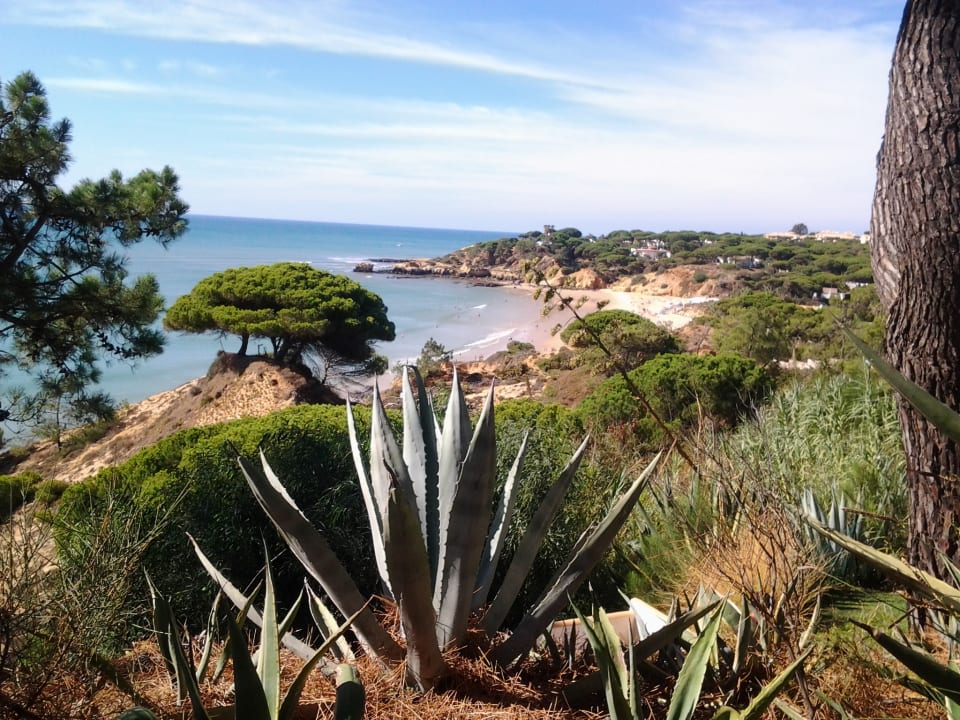 Ausblick Aldeamento Alfagar & Alfagar II Aparthotel