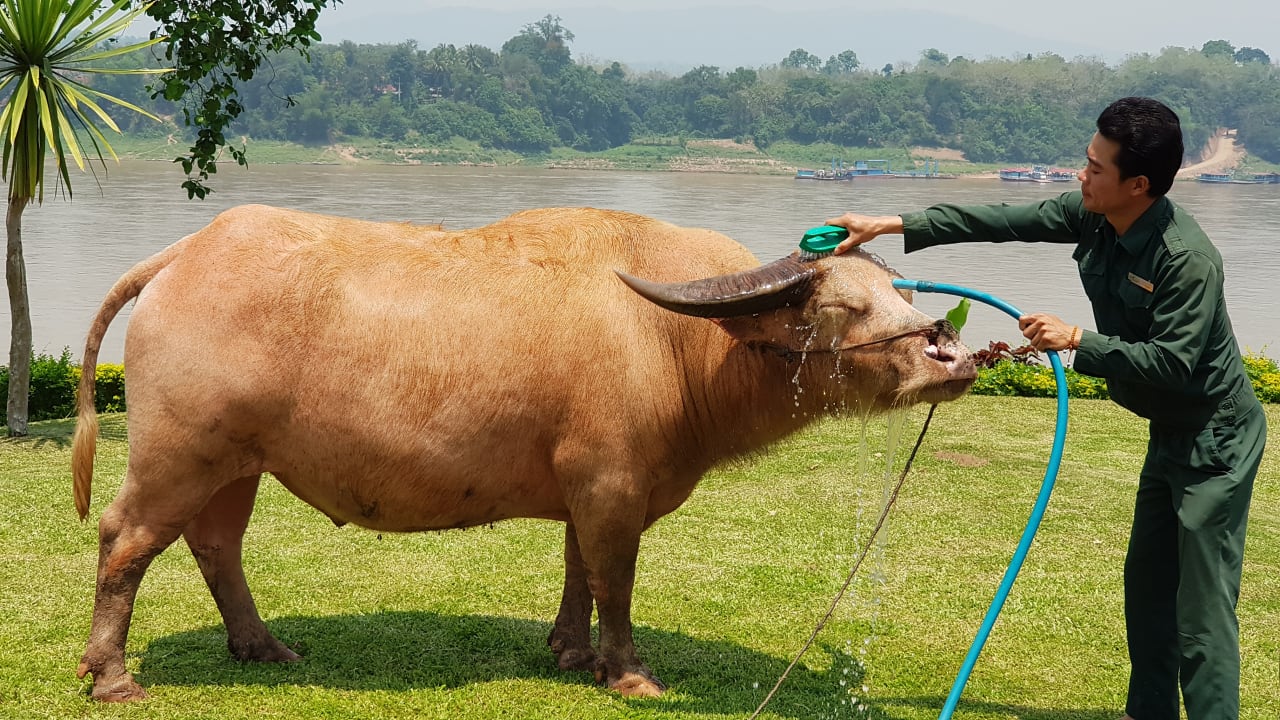 Sport & Freizeit Hotel The Grand Luang Prabang
