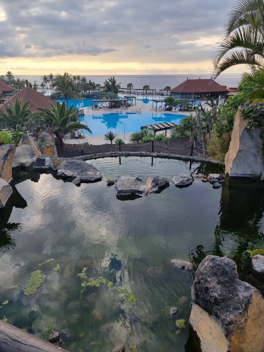 Gartenanlage La Palma Princess