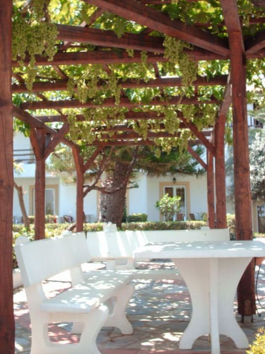 Innenhof Alexander Beach Hotel & Village Resort