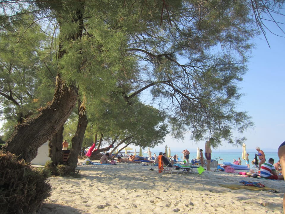 Пляж Pallini Beach Hotel