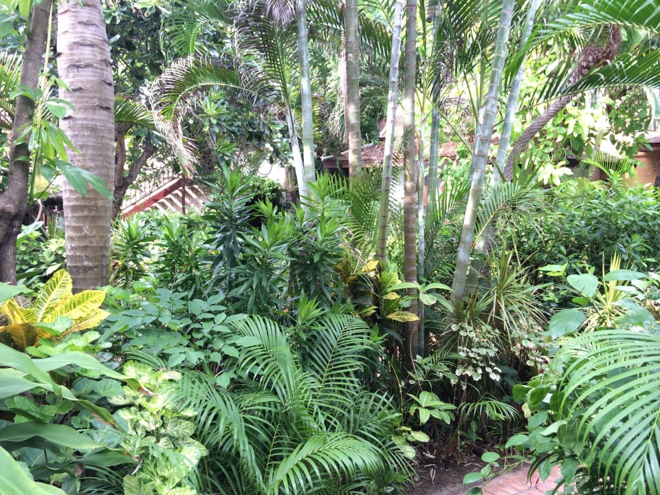 Gartenbereich Anavana Beach Resort