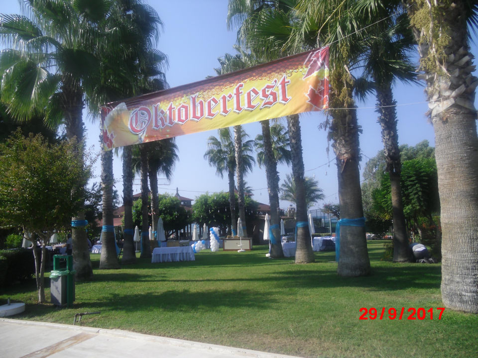 Gartenanlage Hotel Terrace Beach Resort