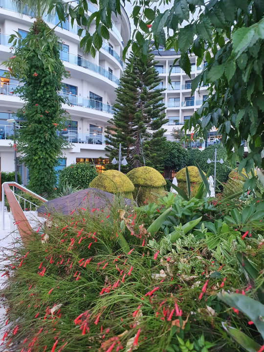 Gartenanlage Commodore Elite Suites & Spa - Adults only
