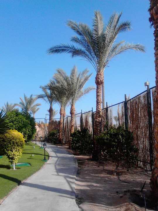 Auf dem Weg zum Aquapark Jaz Dar EL Madina
