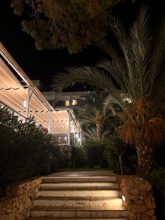 Gartenanlage Hotel Riu Palace La Mola