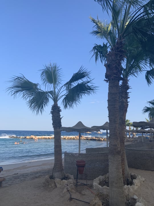 Strand Pickalbatros Citadel Resort