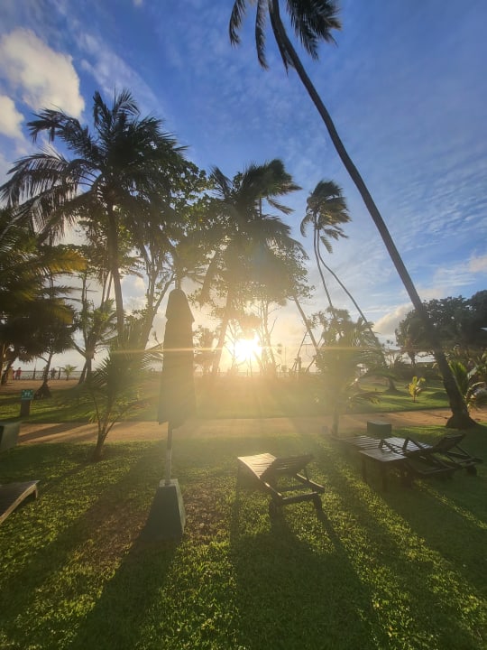 Gartenanlage Royal Palms Beach Hotel