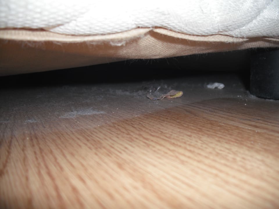 "Staub unter dem Bett" Altin Yunus Resort & Thermal Hotel (Çeşme