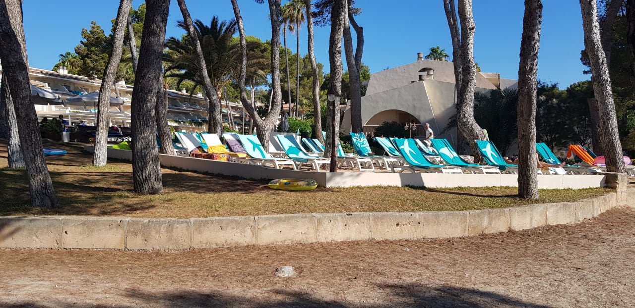 Gartenanlage Iberostar Waves Pinos Park